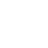 Wayru logo white